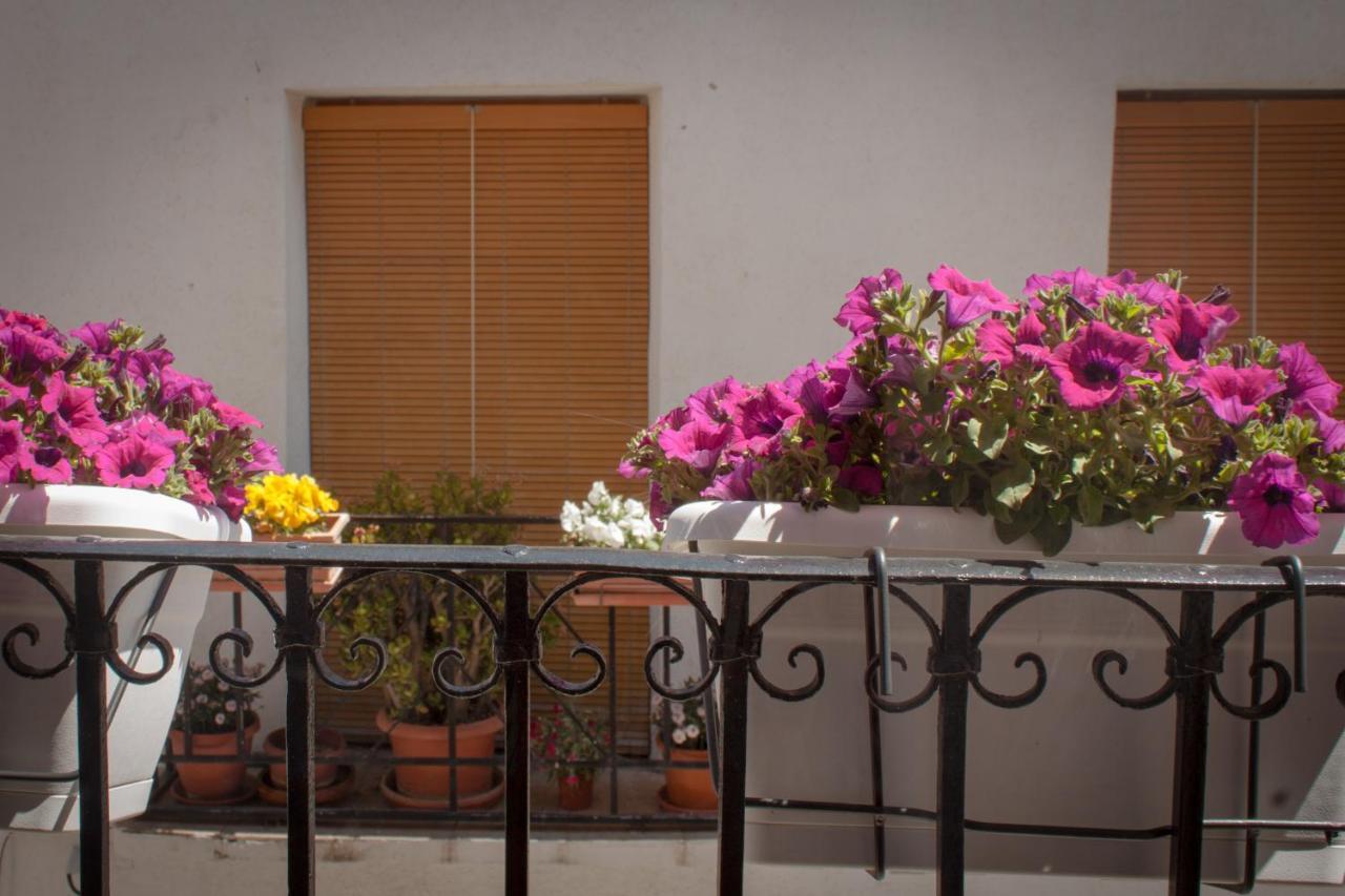 Casa Amparo - Alquiler Integro Con Encanto En Alicante Alcoleja 外观 照片